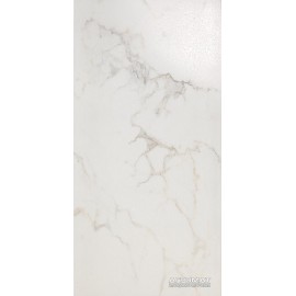 Плитка Imola Maxima CARRARA 100LP