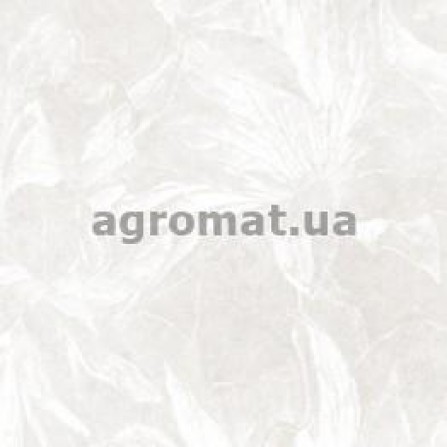 Плитка Dvarcioniu A-893 PLAZA