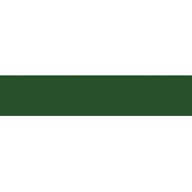 Baumit Затирка Баумакол зеленая/2кг (green)