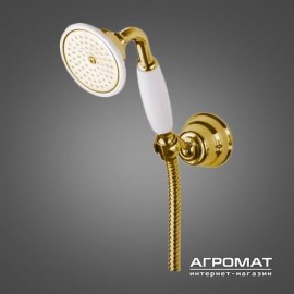 Ручной душ Devit Charlestone DS9602702G