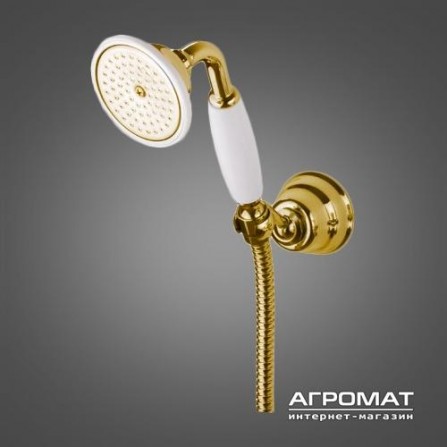 Ручной душ Devit Charlestone DS9602702G