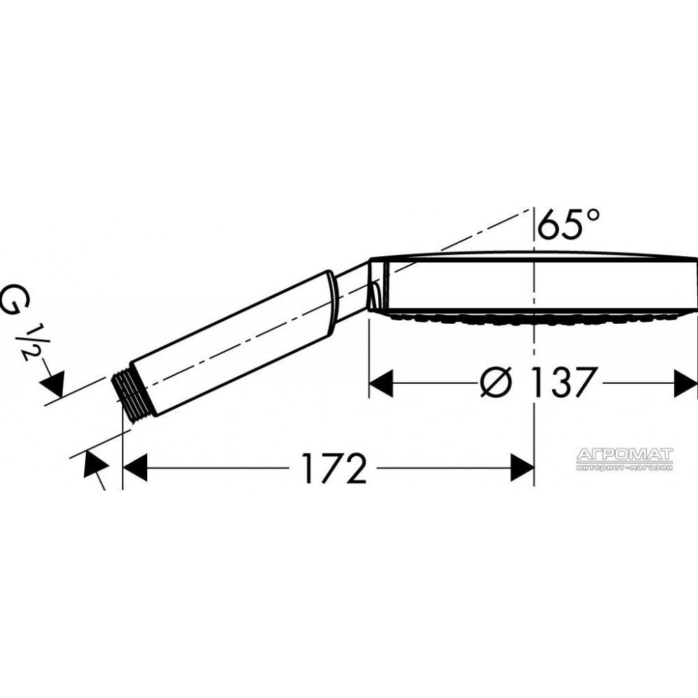 Ручной душ Hansgrohe Raindance S 28505000