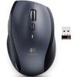 Мышь компьютерная Logitech Wireless Mouse M705