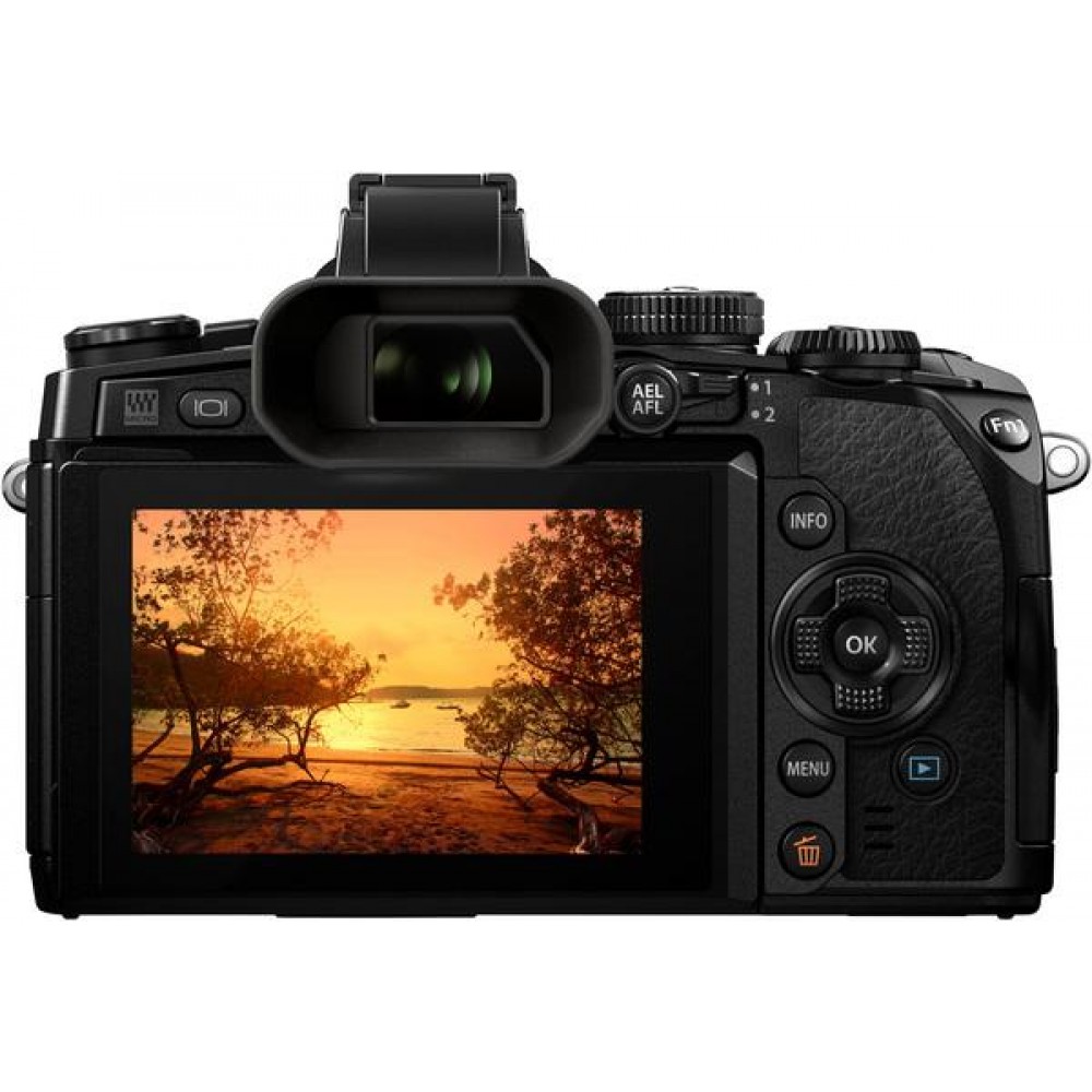 Цифровая системная фотокамера Olympus E-M1 Body Black