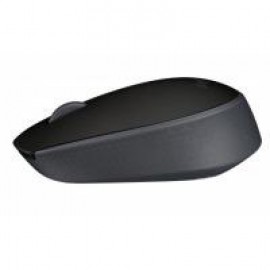 Мышь компьютерная Logitech Wireless Mouse M171 Black