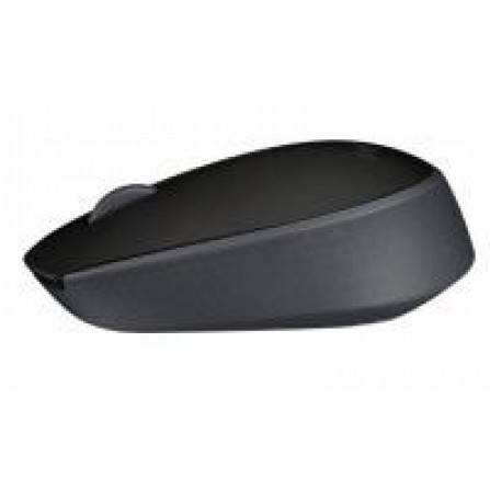 Мышь компьютерная Logitech Wireless Mouse M171 Black