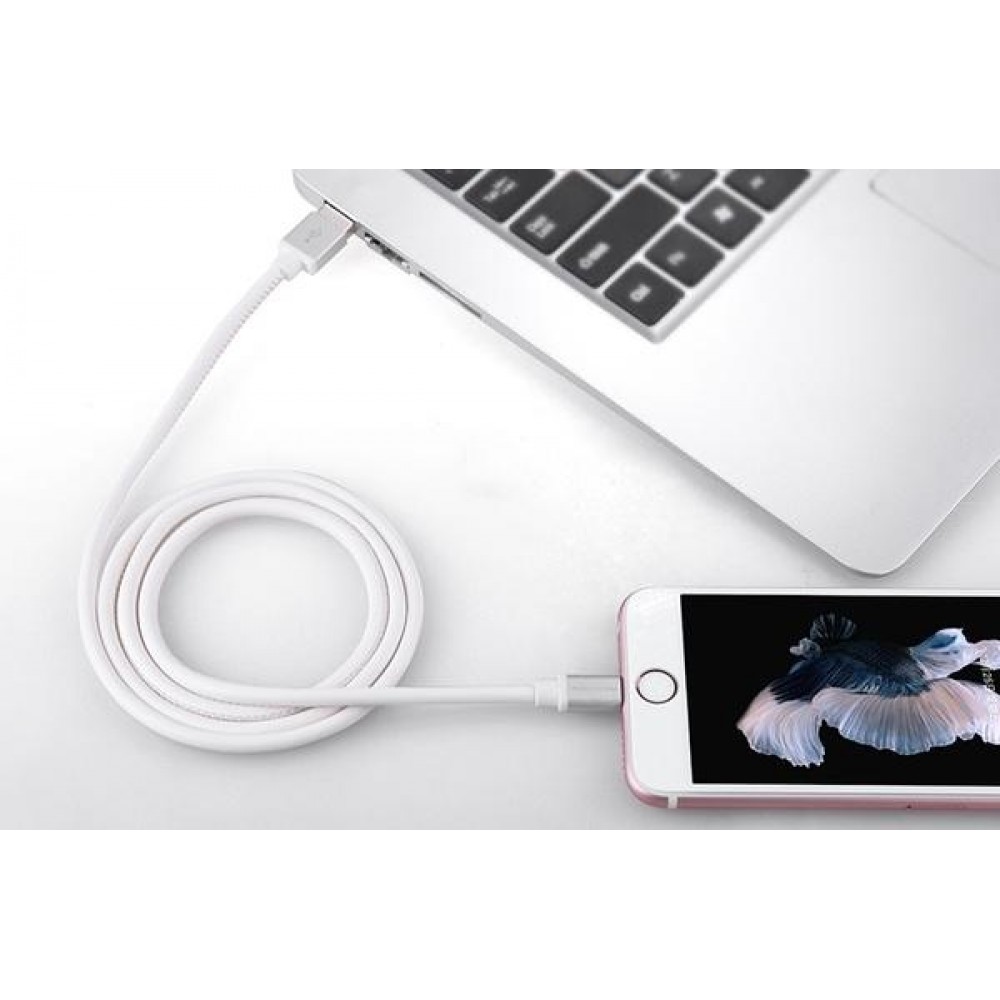 Кабель Nillkin Lightning Cable GENTRY - 100 см White
