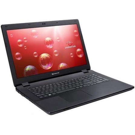 Ноутбук Acer ENLG81BA-P0CY (NX.C45EU.010)